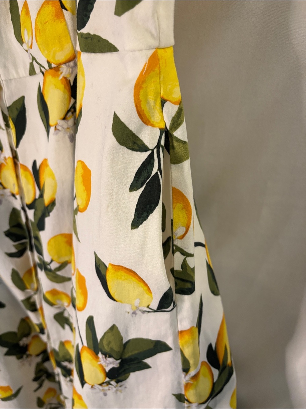 Chetta B Sleeveless Lemon Print Button Down Shirt Dress Size 14 Fit and Flare - Picture 5 of 8